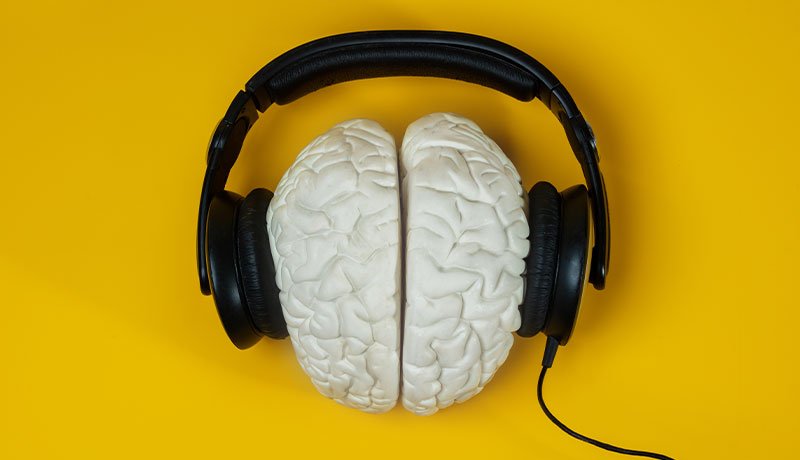 「聞く」のは脳の仕事である